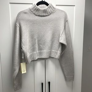 I am selling an aritzia sweater, size xxs, and is the color heather birch.